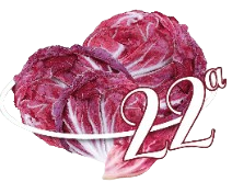 Sagra del Radicchio